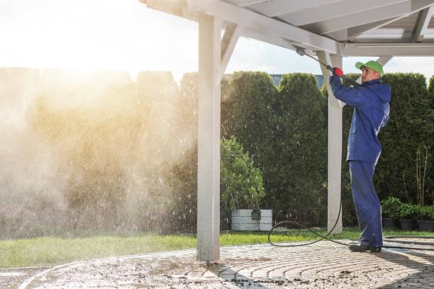 Best Graffiti Removal Services in Nevada, TX