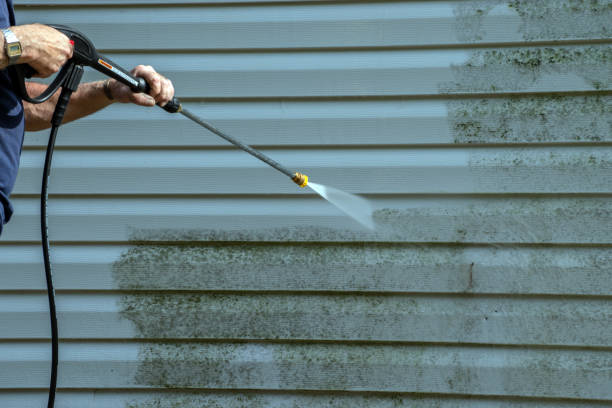 Best Roof Cleaning and Mildew Removal in Nevada, TX